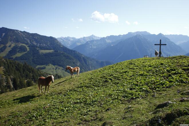 Pferde Nähe Kreuzbichl