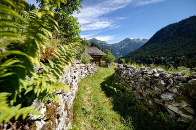 Rüti St. Gallenkirch
