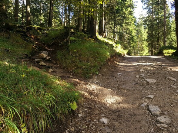 Hier gilte es aufgepasst, um den Abzweiger nach links nicht zu übersehen