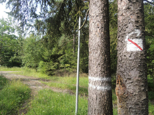 Der Wegweiser führt uns in Richtung Alexandrinenhütte.