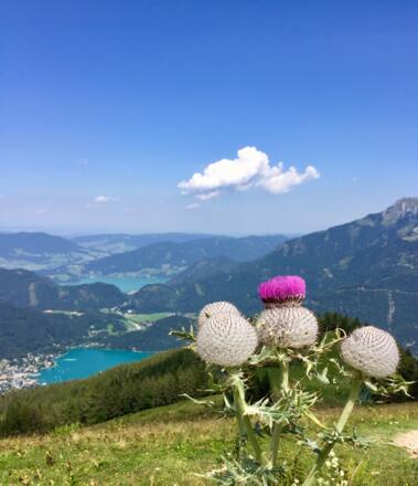 Aussicht vom Gipfel