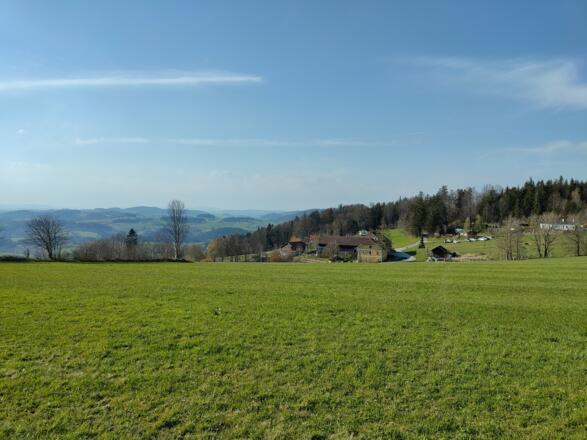 Tolles Panorama und erster Blick auf den Lamahof