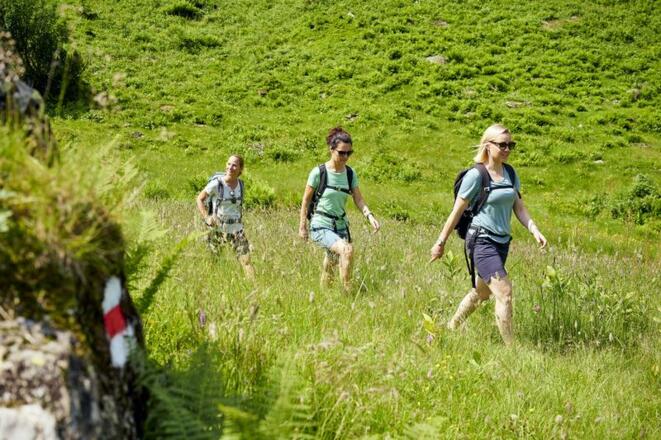 Sommer_im_Klostertal_(c)_Alex_Kaiser_-_Alpenregion