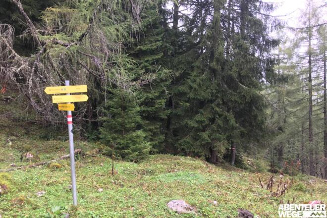 4.60 km - Am Wegweiser links abbiegen (&quot;Kögerlalm&quot;).