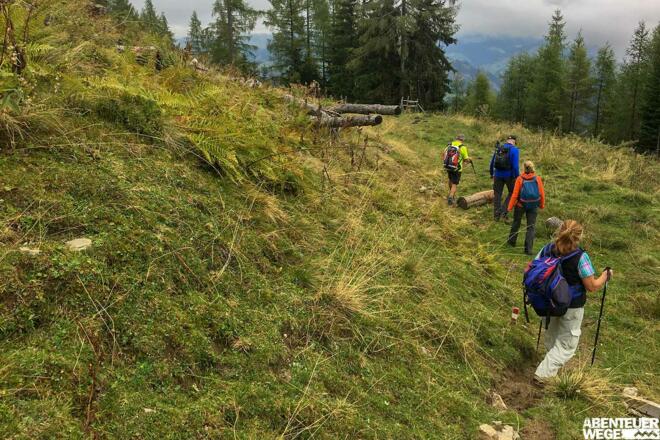Dorfgasteiner Almenrunde.