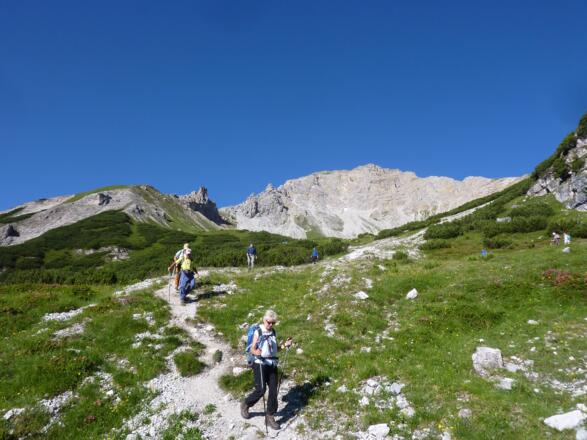 Abstieg vom Joch - kurz vor dem Latschengürtel