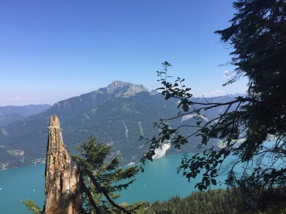 Ausblick am Wolfgangsee und Schafberg