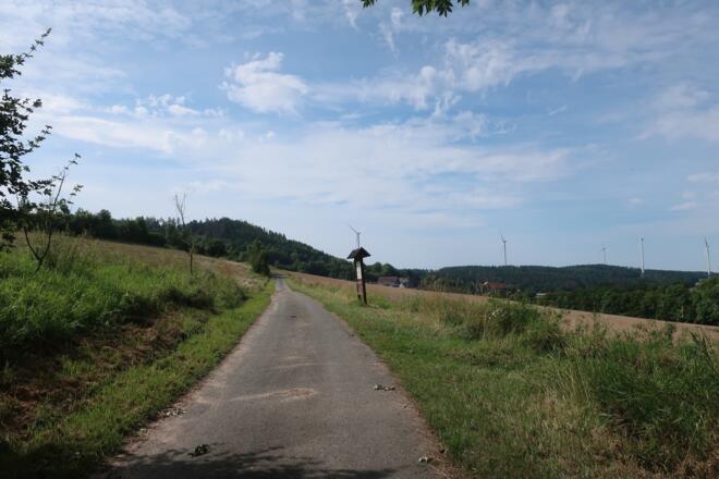 Naturlehrpfad am Plestener Berg