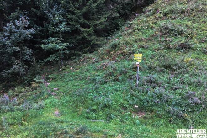 0.00 km - Nach links weg vom Fahrweg starten, Wegweiser Richtung &quot;Amoser Niederalm&quot;.