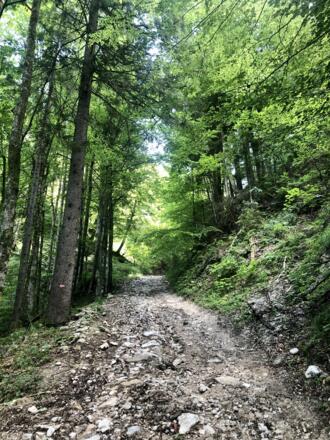 Steile Schotterstraße vor dem Berggasthof Weisswand