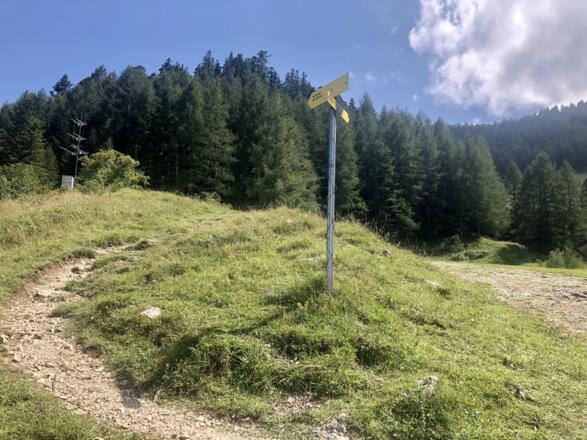 Weggabelung nach Sausteigalm