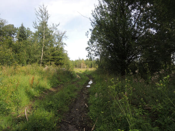 Auf dem Weg zur Alexandrinenhütte