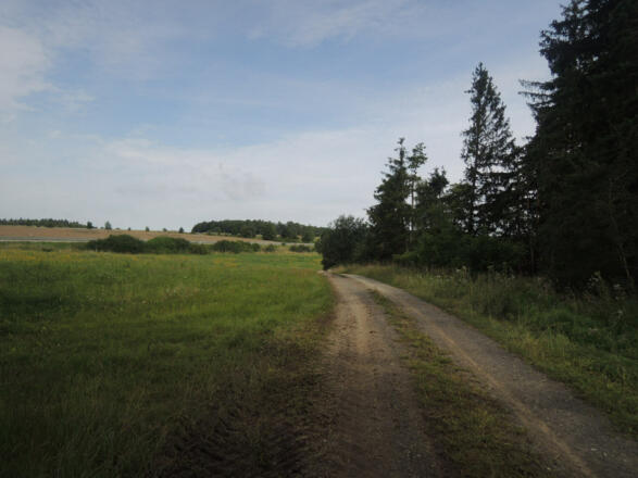 Am Waldrand geht es weiter zur Alexandrinenhütte.