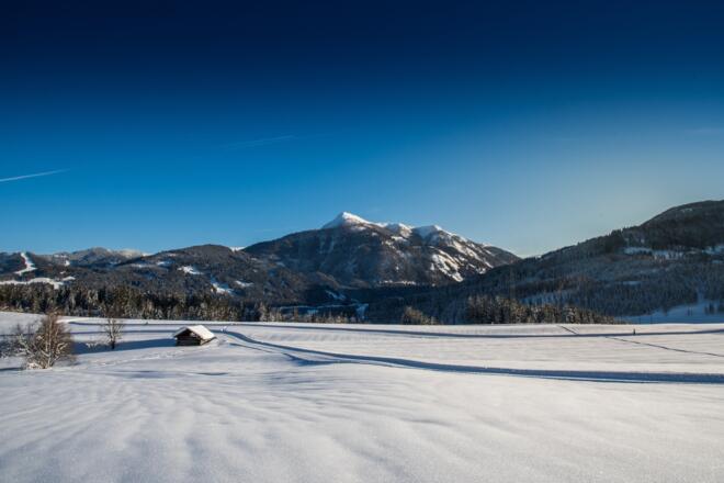 herrlicher Blick auf den Lackenkogel