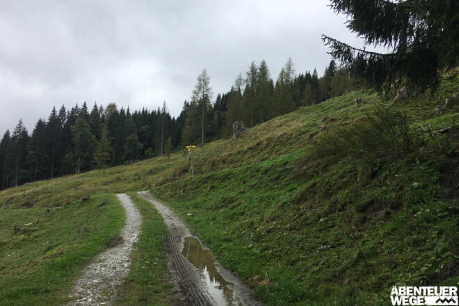 0.90 km - Am Wegweiser schräg nach hinten rechts abbiegen und bergauf gehen (&quot;Rauchkögerl&quot;).