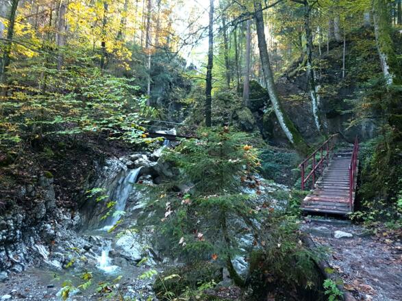 An der Kaltwasserlaine geht es wildromantisch hinauf