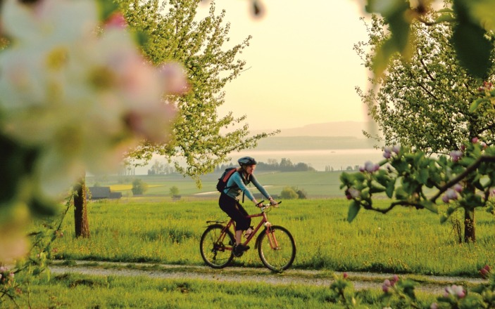 Zur Blütenzeit durch Thurgau