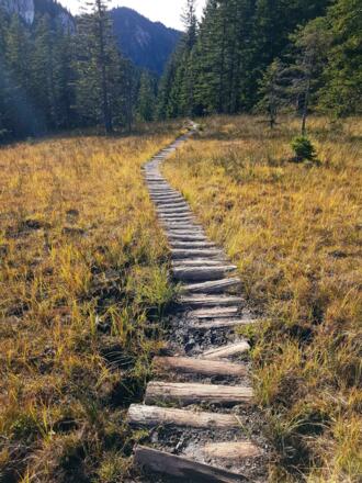 Der Weg zum Rötelstein (1395 m) hinüber bietet eine schöne Erweiterung der Tour