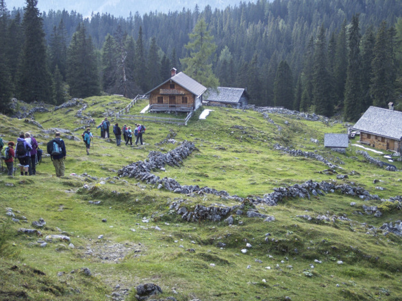 Schartenalm bei Goisererhütte. Z11V