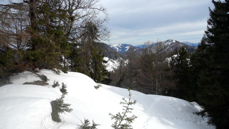 Am Zeitschenberg 1433m