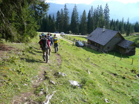 Weg vor der Iglmoos Alm. Z11V