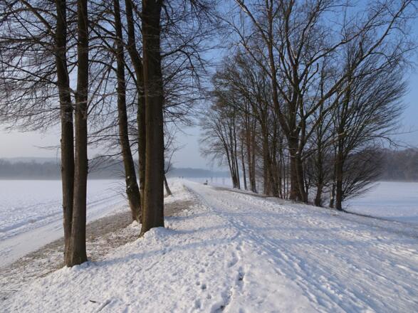 Damm der Flutmulde wird gequert.