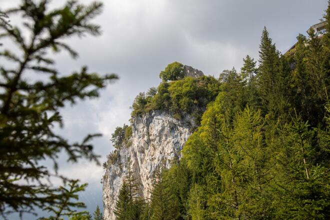 Blick auf die Burgruine Falkenstein