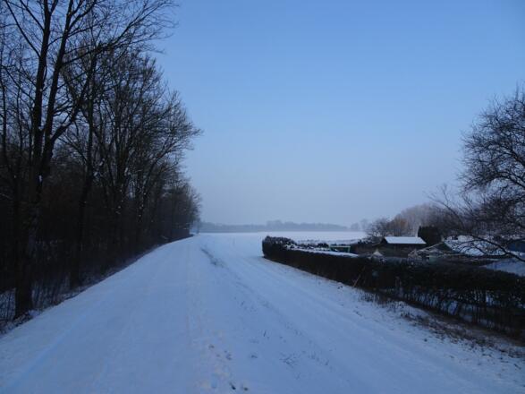 Auf Höhe der zweiten Schrebergärten.