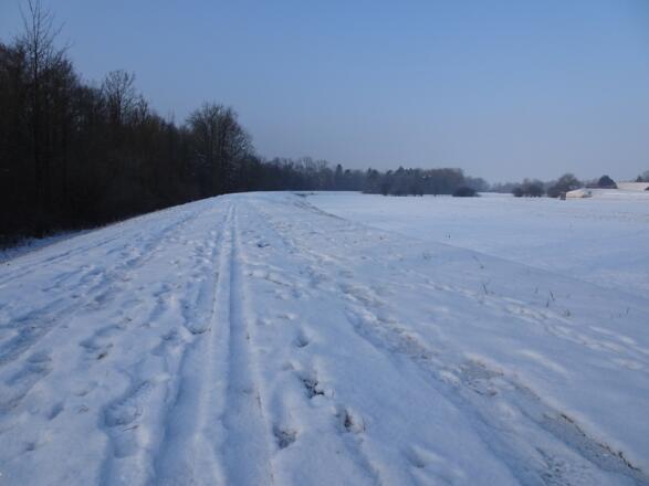 Auf dem Loipen-Damm Höhe Echinger Hof