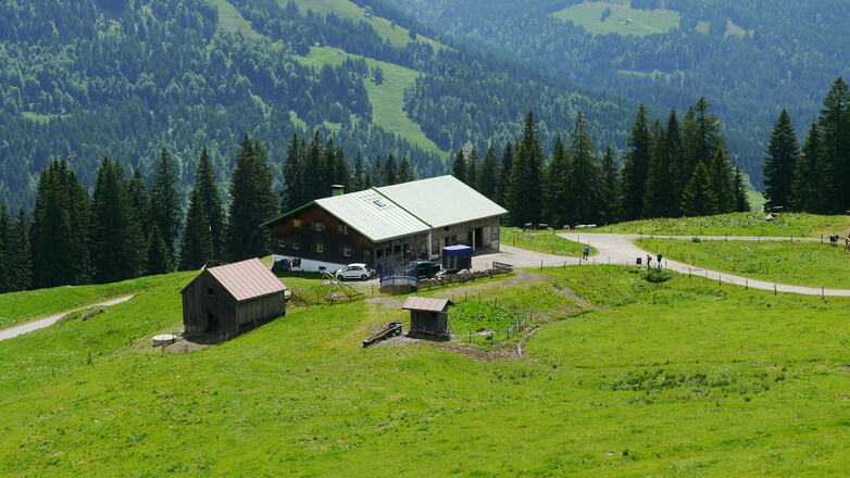 Blick auf die Obere Balderschwanger Alpe