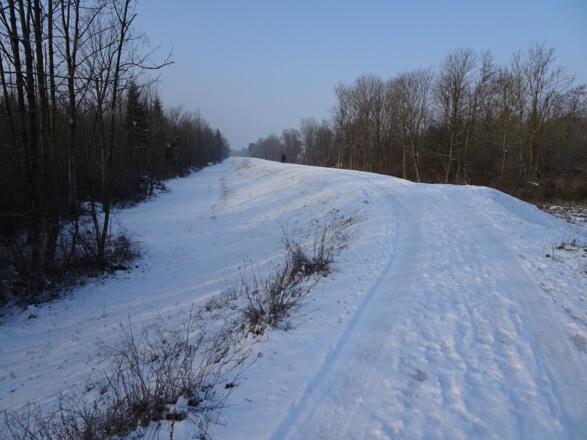 Auf dem Loipen-Damm auf Höhe der Müncherau.