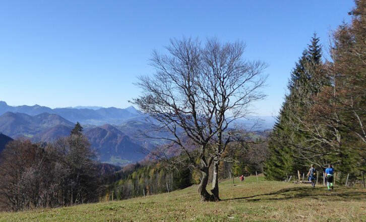 Am Weg zur Grünburger Hütte
