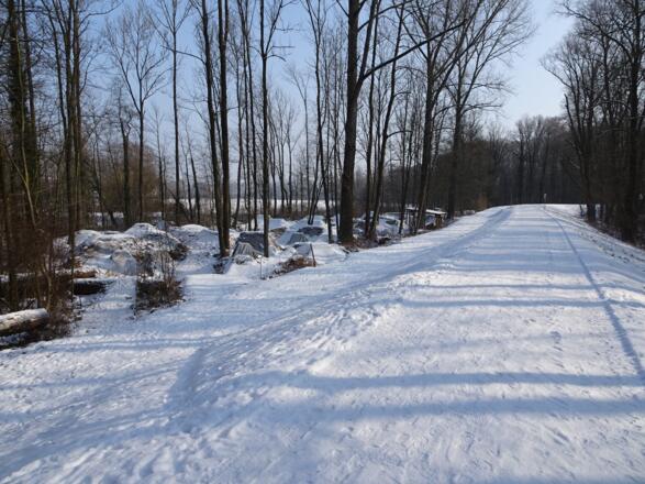 Die Bibertrails neben dem Hammerbach.