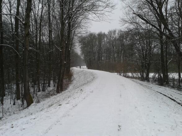 Auf dem Damm neben dem Hammerbach. Meist eisig.