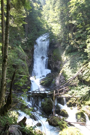 Winnerfall