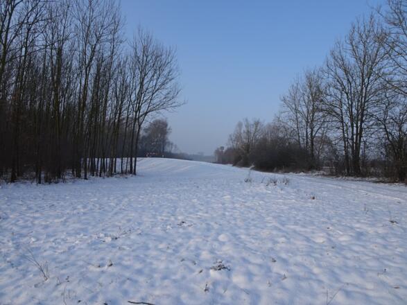 Der Loipen-Damm kommt bald.