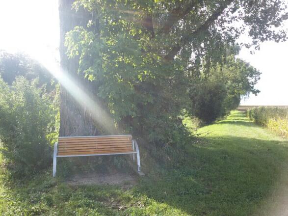 Bankerl an der Streuobstwiese Notzing