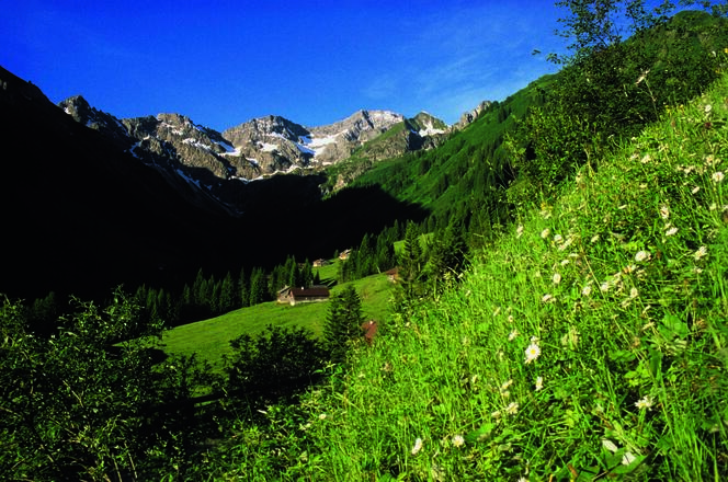 Vorsäß Boden mit Zitterklapfen