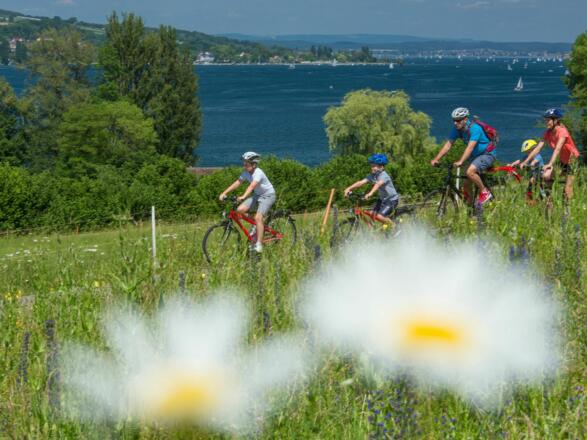 Die Route am Untersee überzeugt durch die fantastische Aussicht
