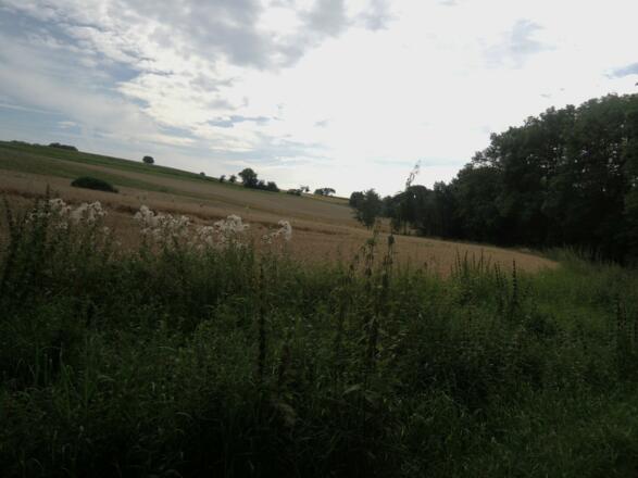 Die Landschaft rund um Meeder