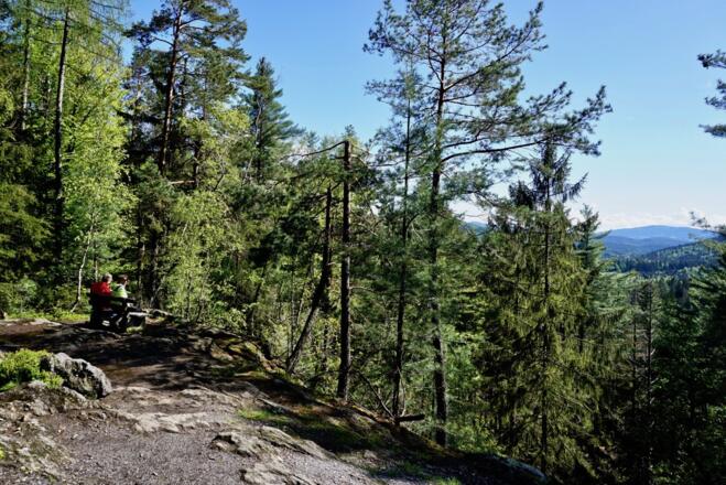 Aussichtspunkt Sternwiesberg