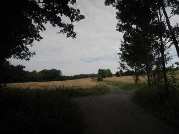 Von Meeder geht es in Richtung Alexandrinenhütte.