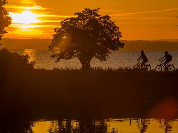 Am Morgen früh ist die Route besonders mystisch - hier bei Horn