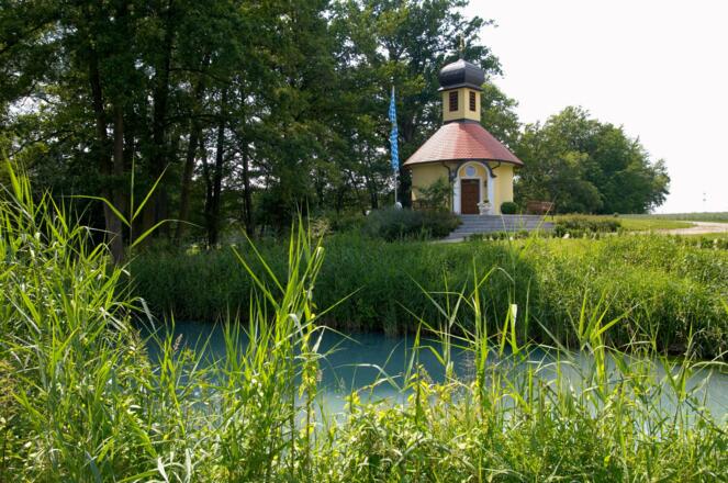 EISVOGEL Familien Kapelle