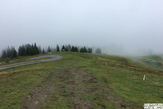 6.60 km - Fahrweg links ignorieren, geradeaus weiter über Weidewiese.
