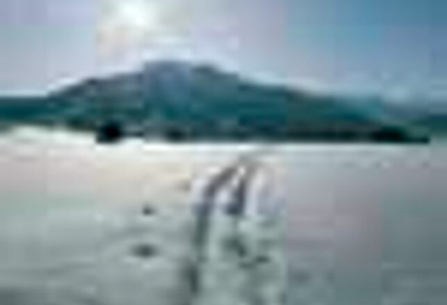 Ihre Spuren im Schnee?!