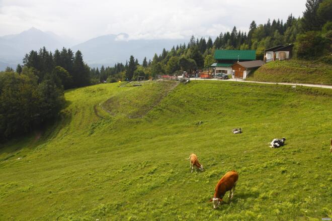 Arzler Alm