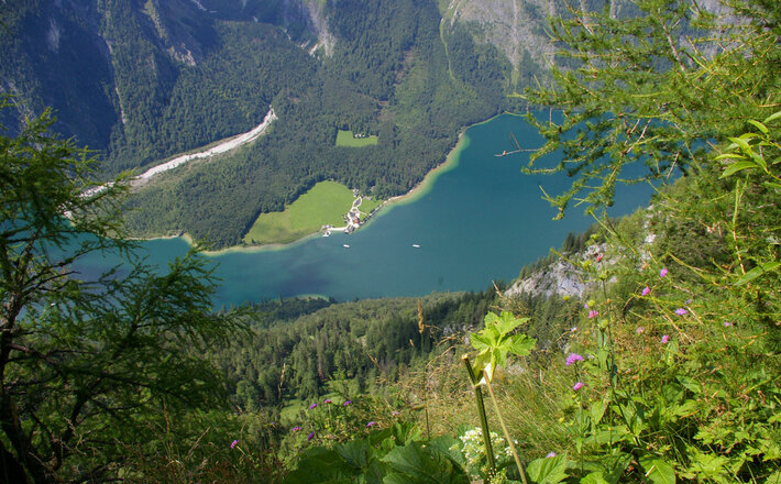 Tiefblick vom Feuerpalven nach St. Bartholomä am Königssee