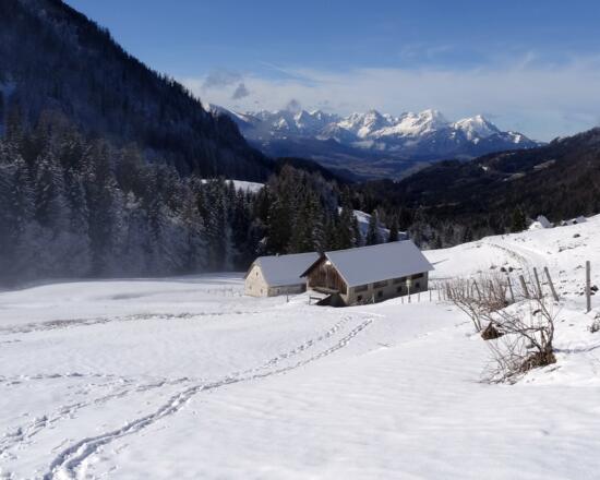 Dörflmoaralm im Nationalpark Kalkalpen
