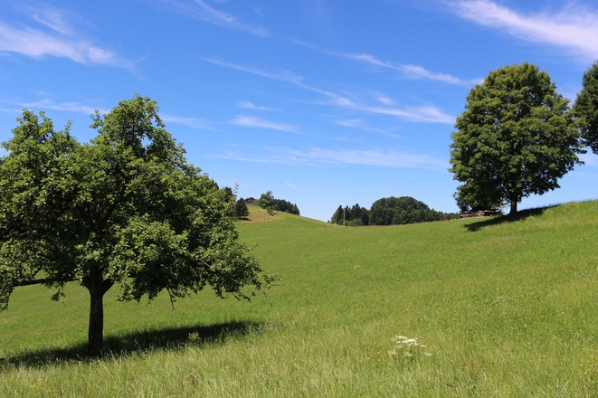 Ausblick